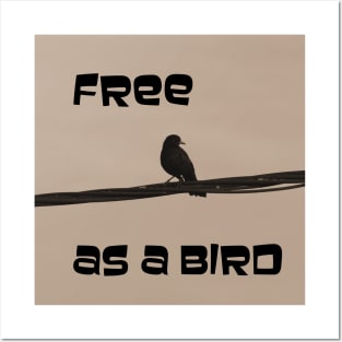 Free as a bird Posters and Art